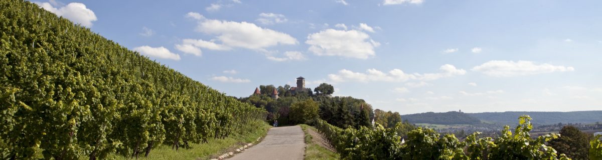 Bioweingut Schlossgut Hohenbeilstein